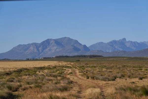 Güney Afrika Daki Güzel Çayır Dağların Manzaralı Görüntüsü — Stok fotoğraf