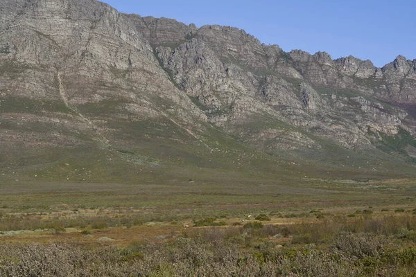 Escarpment Rijst Boven Vlaktes Bomen Van Natuurreservaat Elandsberg Westelijke Kaap — Stockfoto
