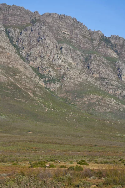 南非美丽的草原和山脉的风景 — 图库照片