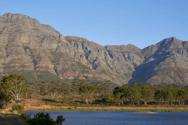 南非西开普省埃兰斯贝格自然保护区的平原和树木上方升起的陡坡 — 图库照片