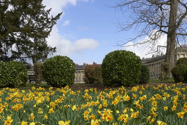 英国萨默塞特 2023年3月17日 英国萨默塞特 联合国教科文组织世界遗产城市 历史性的皇家新月前的春天花朵 — 图库照片