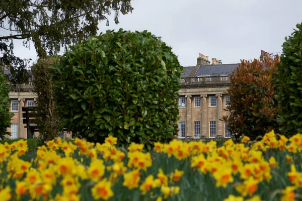 英国萨默塞特 2023年3月21日 英国萨默塞特 联合国教科文组织世界遗产城市 历史性的皇家新月前的春天花朵 — 图库照片