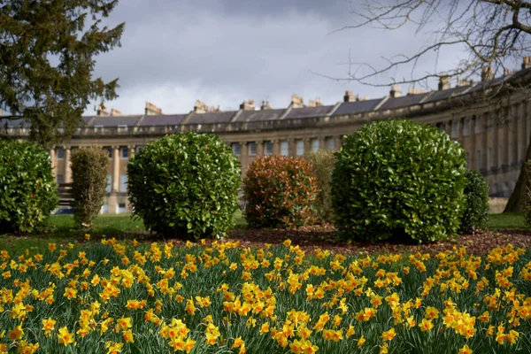 Bath Somerset Reino Unido Março 2023 Flores Primavera Frente Histórico — Fotografia de Stock