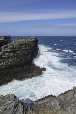 Falkland Adaları 'ndaki Sea Lion Adası kıyısındaki uçurumlar.
