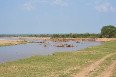 Güney Luangwa Ulusal Parkı, Zambiya 'dan akan Luangwa Nehri yavaş akıyor.         