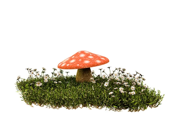 Mushroom Isolated White Background Illustration — 图库照片