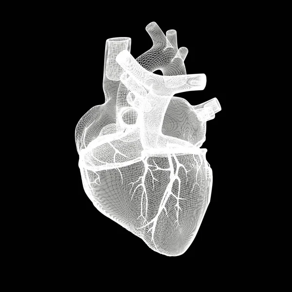 Human Heart Isolated Balck Background Illustration — Stock Photo, Image