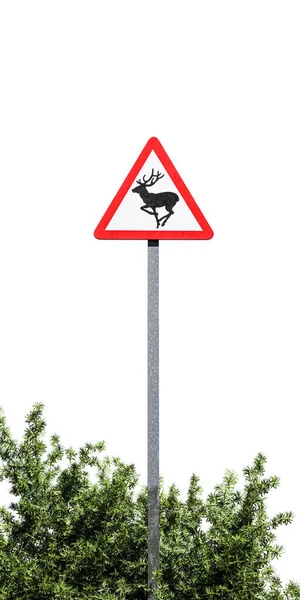 鹿のサインは白い背景の3Dイラストに孤立しています — ストック写真