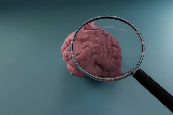 Увеличитель Инструмент Человеческом Мозге Иллюстрации — стоковое фото