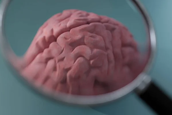 Herramienta Lupa Cerebro Humano Ilustración —  Fotos de Stock