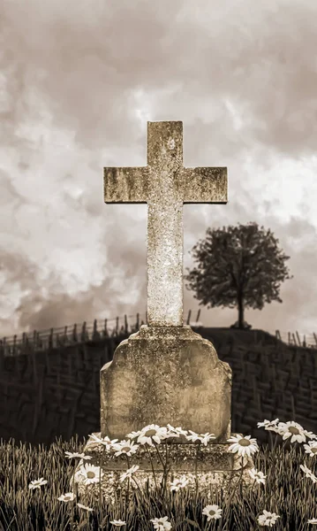 田舎の古い墓石の3Dイラスト — ストック写真
