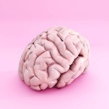 Pembe arka planda izole edilmiş beyin 3D illüstrasyon 