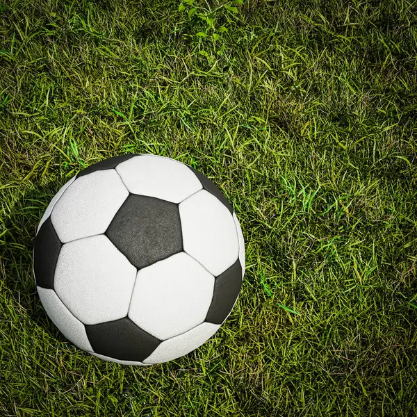 芝生の上のサッカー ボール イラストレーション ロイヤリティフリーのストック写真