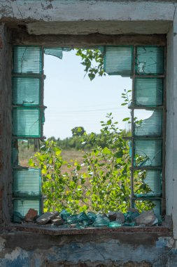 Harap olmuş bir evde, kırık bir cam bloğun içinden bir tarlanın manzarası..