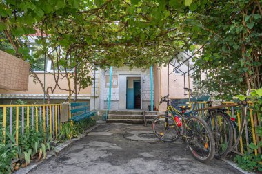 The entrance to an old apartment building overgrown with grapes, with bicycles in the foreground on the city yard. Pereyaslav, Ukraine - August 2022.