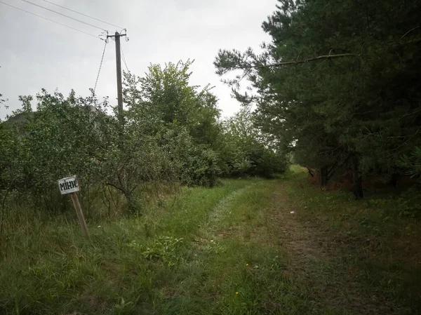 Ukrainian mine danger sign in the forest near the village road. Translation: \
