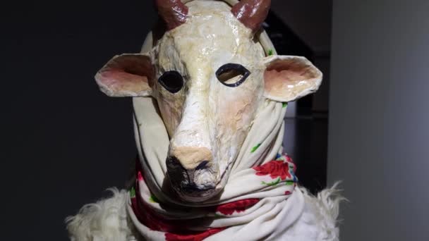 Costume Goat Typical Bukovyna Malanka Holiday Malanka Ukrainian Folk Holiday — Vídeos de Stock
