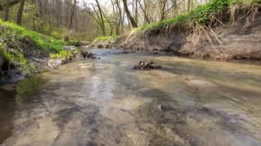 Güneşli bir bahar gününde, kumlu tabanı olan, ormandaki bir dağ deresinin temiz kaynak suyuna yakın çekim..