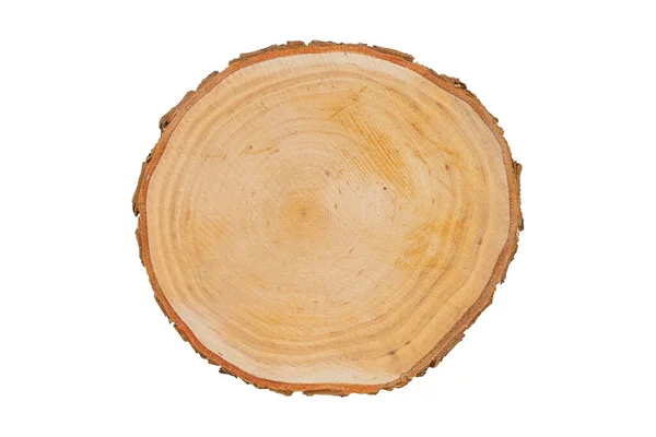 Cut Tree Trunk Isolated White Background Top View Stock Photo