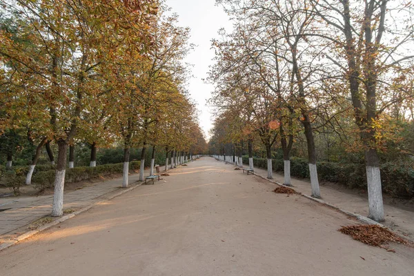 Die Lange Fußgängerzone Park Ist Mit Schotter Gepflastert Den Seiten — Stockfoto