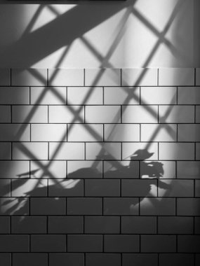 Metal ızgaraların gölgesi ve desenli duvardaki ev bitkileri beyaz parlak seramik fayanslarla örtülüydü..