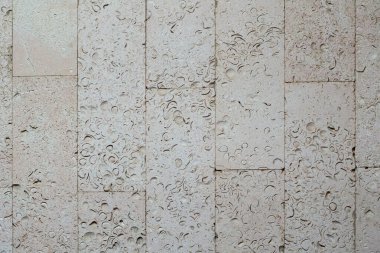 Kabuklu taş karolarla kaplı desenli duvar..