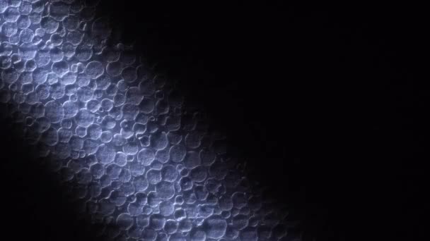暗闇の中の泡の冷たい光のビーム — ストック動画