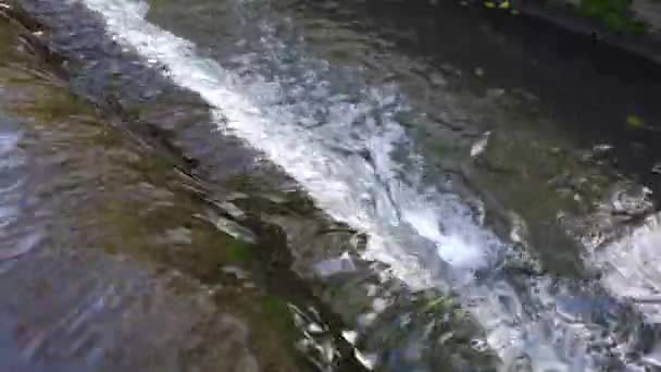 Kleine Kunstmatige Waterval Een Betonnen Afvoerkanaal Met Stoom — Stockvideo
