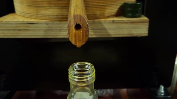 Оливковое Масло Втискивается Бутылку Деревянной Трубки Производство Оливкового Масла — стоковое видео