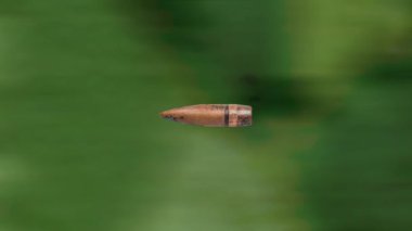 Ateşli silah mermisi. Ormanda 7.62 mm 'lik sinekler var..