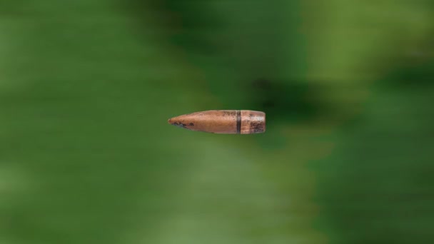Schusswaffen Kugel Kaliber Fliegt Auf Waldhintergrund — Stockvideo