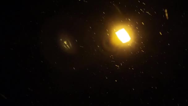 Ένα Κίτρινο Φανάρι Μπροστά Από Οποίο Χιόνι Πέφτει Νύχτα — Αρχείο Βίντεο