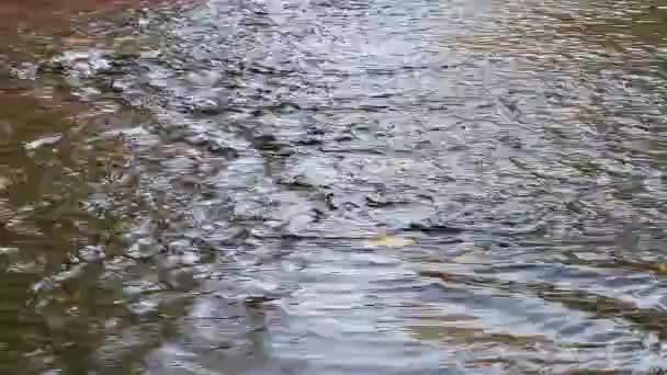 水在平坦的混凝土表面流动 — 图库视频影像