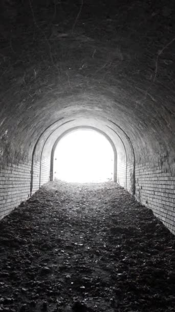 Wyjście Starego Opuszczonego Tunelu Łukowego Xix Wiecznych Fortyfikacji Lesie Widok — Wideo stockowe