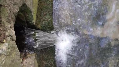 Küçük bir su akıntısı bir drenaj borusundan beton rezervuara akar. Akış, yosun kaplı beton üzerinde çağlayarak sıçrama yaratıyor..