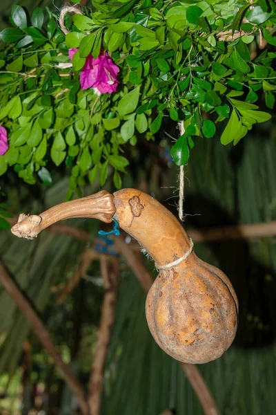 Traditionele Pompoen Hanal Pixan Viering Van Doden Yucatan Mexico — Stockfoto