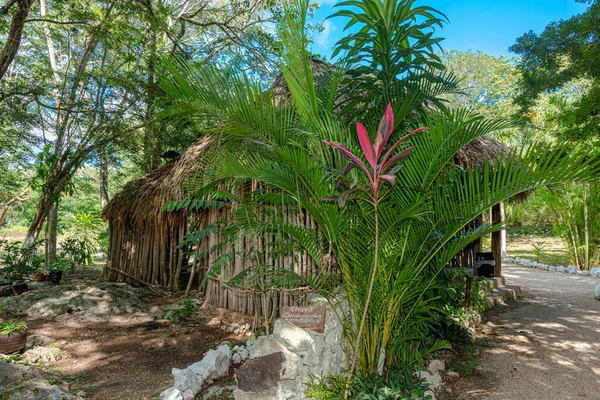 Cabaña Maya Selva Tropical Mexicana — Foto de Stock