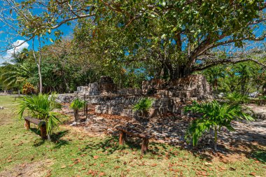 El Meco Maya arkeolojik alanı Cancun 'da.
