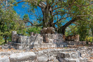 El Meco Maya arkeolojik alanı Cancun 'da.