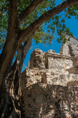 Antik Maya bölgesi El Meco, Cancun, Meksika
