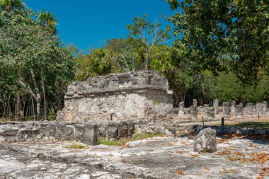 Antik Maya bölgesi El Meco, Cancun, Meksika