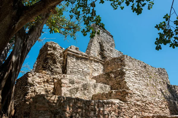 Starověké Mayské Místo Meco Cancun Mexiko — Stock fotografie