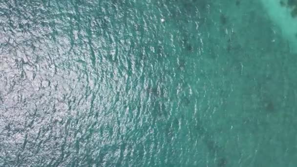 Вид Воздуха Карибское Море Мексика — стоковое видео