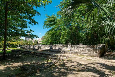 San Miguelito antik Maya arkeolojik alanı Cancun, Meksika