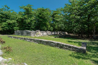 San Miguelito antik Maya arkeolojik alanı Cancun, Meksika