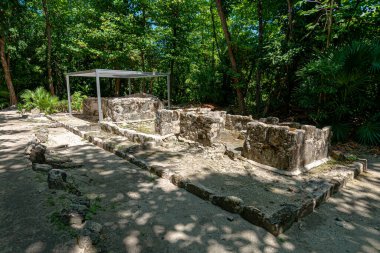 San Miguelito antik Maya arkeolojik alanı Cancun, Meksika