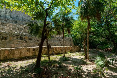 San Miguelito antik Maya arkeolojik alanı Cancun, Meksika