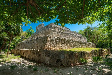 San Miguelito antik Maya arkeolojik alanı Cancun, Meksika