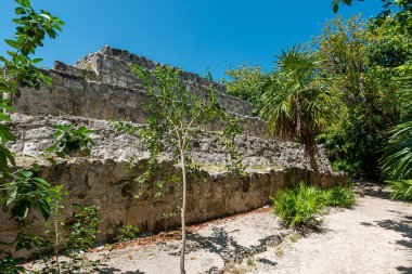 San Miguelito antik Maya arkeolojik alanı Cancun, Meksika