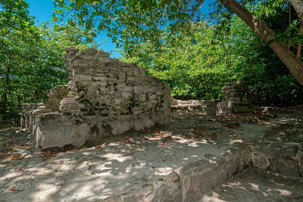 San Miguelito Ancient Mayan Archaeological Site Cancun Mexico — Stock Photo, Image
